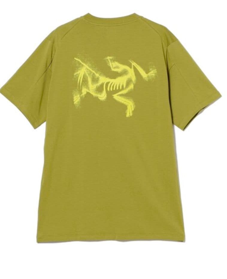 【新品】ARC’TERYX KRAGG SL BLURRED BIRD L