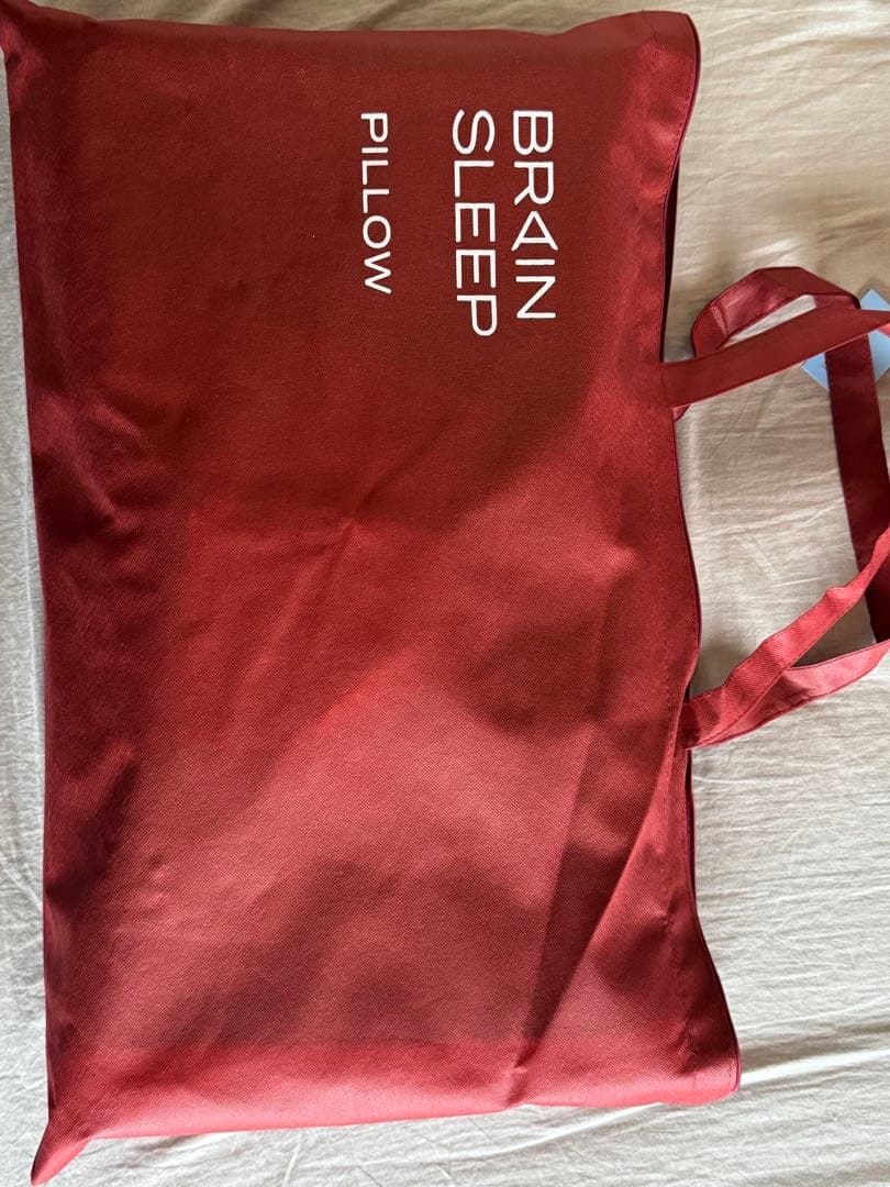 BRAIN SLEEP 枕 STANDARD