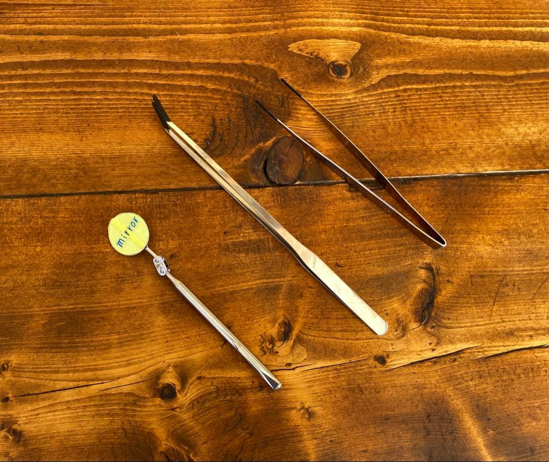 クワガタ採集セット　蛍光ピンク　オリジナル掻き出し棒　デジタルノギス　採集ケース