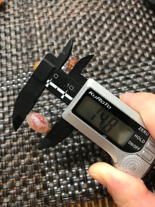 ゴビ石−574 ゴビ瑪瑙　原石　地表　血脈