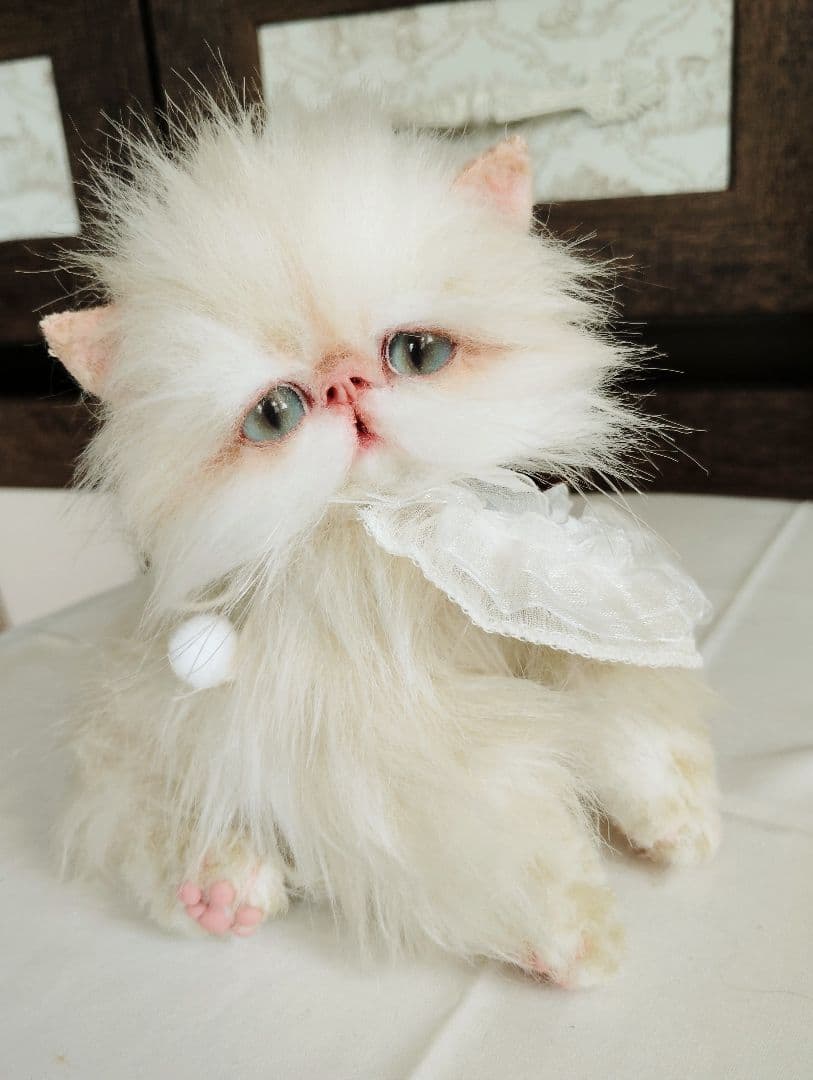 Milky様御予約❤️生後3ヶ月♡綺麗なお顔の♡子猫ちゃん♡アートドール♡