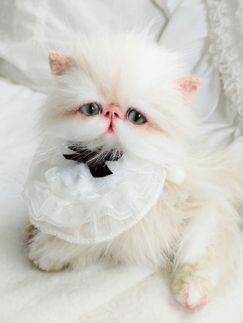 Milky様御予約❤️生後3ヶ月♡綺麗なお顔の♡子猫ちゃん♡アートドール♡