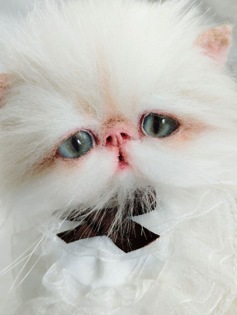 Milky様御予約❤️生後3ヶ月♡綺麗なお顔の♡子猫ちゃん♡アートドール♡