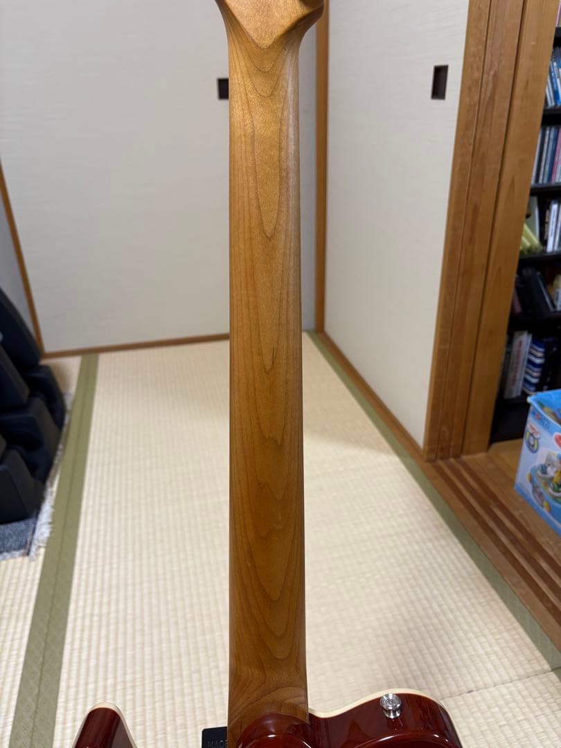 ギター bacchus TAC24 FMH-RSM/M N-BR-B