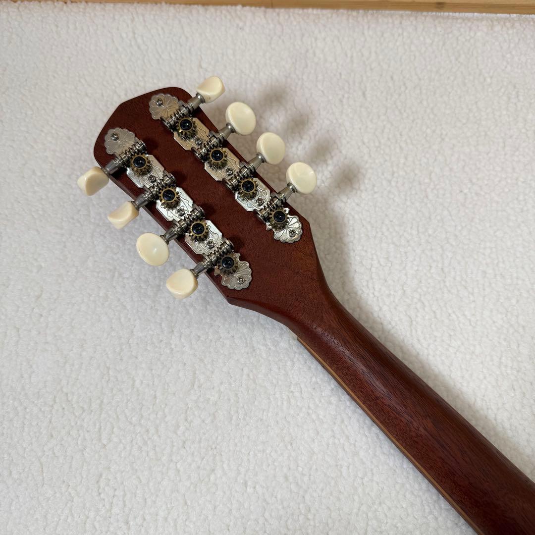 【超希少】Martin Backpacker マンドリン マーチン　ケース付き