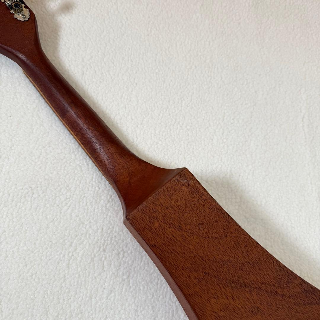 【超希少】Martin Backpacker マンドリン マーチン　ケース付き