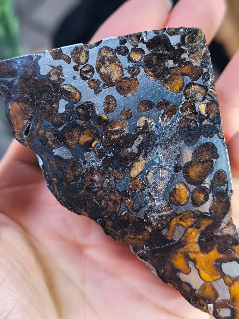 大型 セリコ隕石 435g 外皮付き パラサイト 石鉄隕石