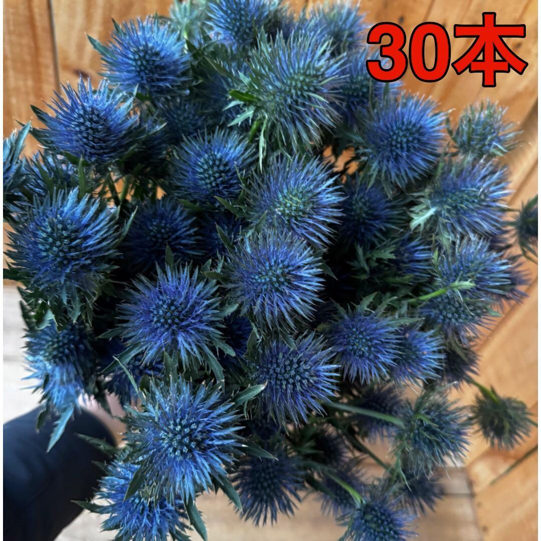 aya様 リクエスト 3点 まとめ商品