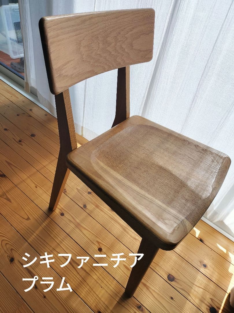 シキファニチア プラム