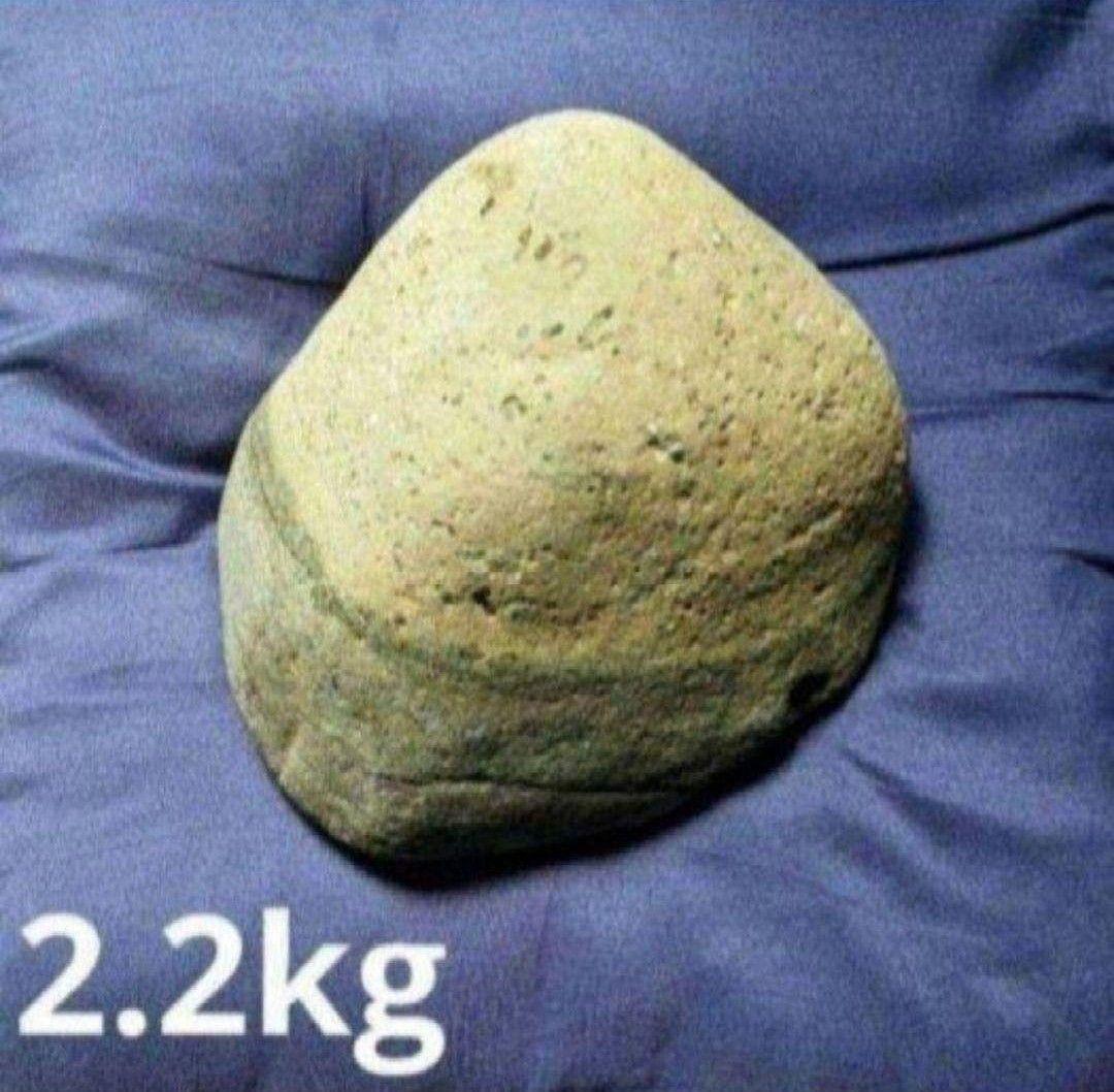 青森県産 今別町産 袰月産 舎利母石 原石 置き石 観賞石 奇石 約2.2kg