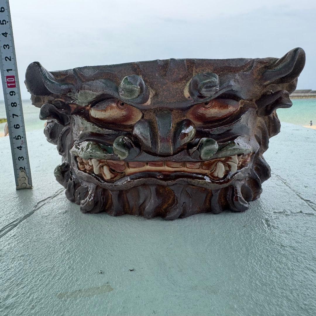 陶器　鉢　Japan　history　Art　盆栽　日本　沖縄　アガベ　パキプス