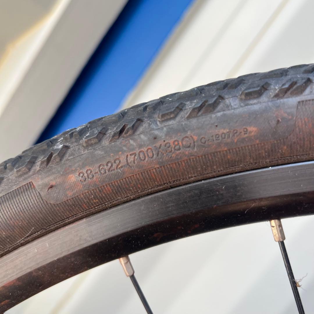 TREK トレック DUAL SPORT2 クロスバイク　自転車 レッド 赤