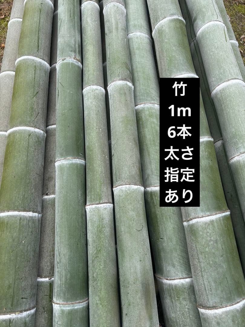 竹　門松エディブルフラワー　飾り葉