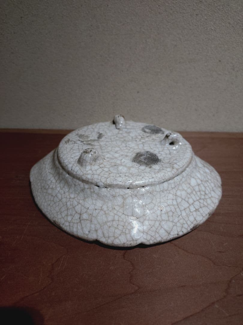 絵志野 蛇籠 草花紋 向付