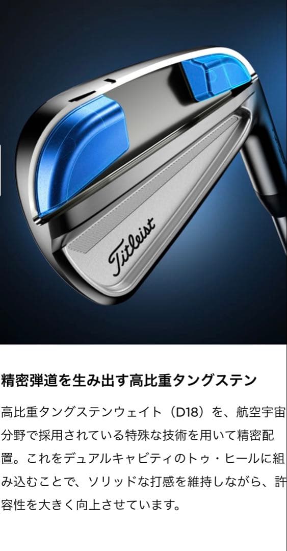 新品 タイトリスト T100 アイアンセット N.S.PRO 105T シャフト