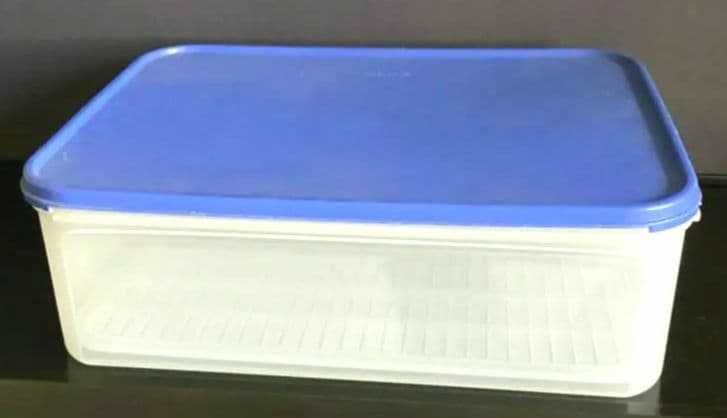 希少‼️タッパーウェア 大　すのこ付