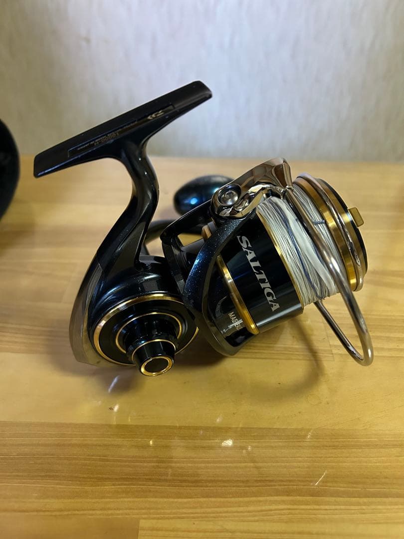 ダイワ　20ソルティガ　10000H