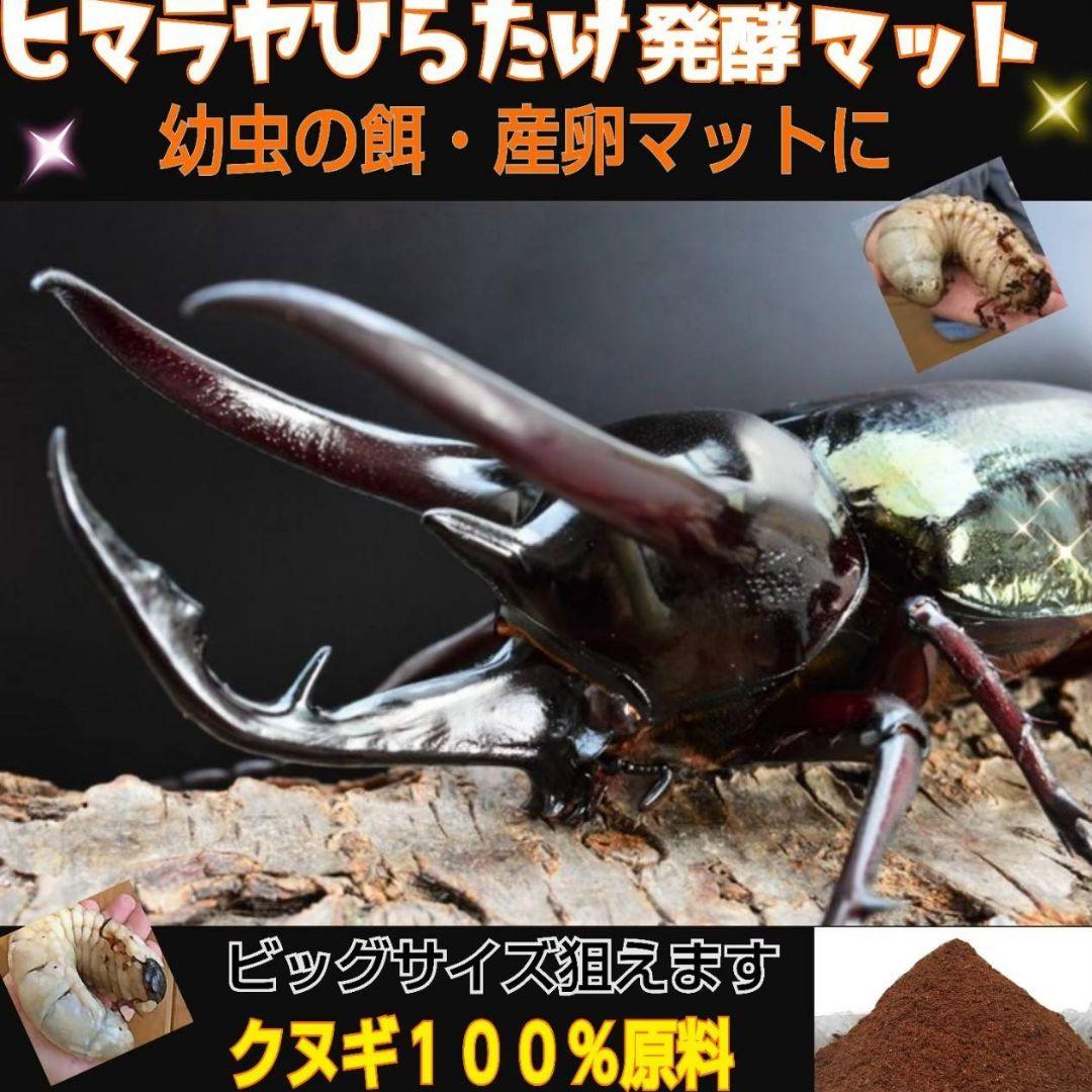 カブトムシ幼虫の餌、産卵にはコレです！改良版！発酵マット50L☆大きくなります！