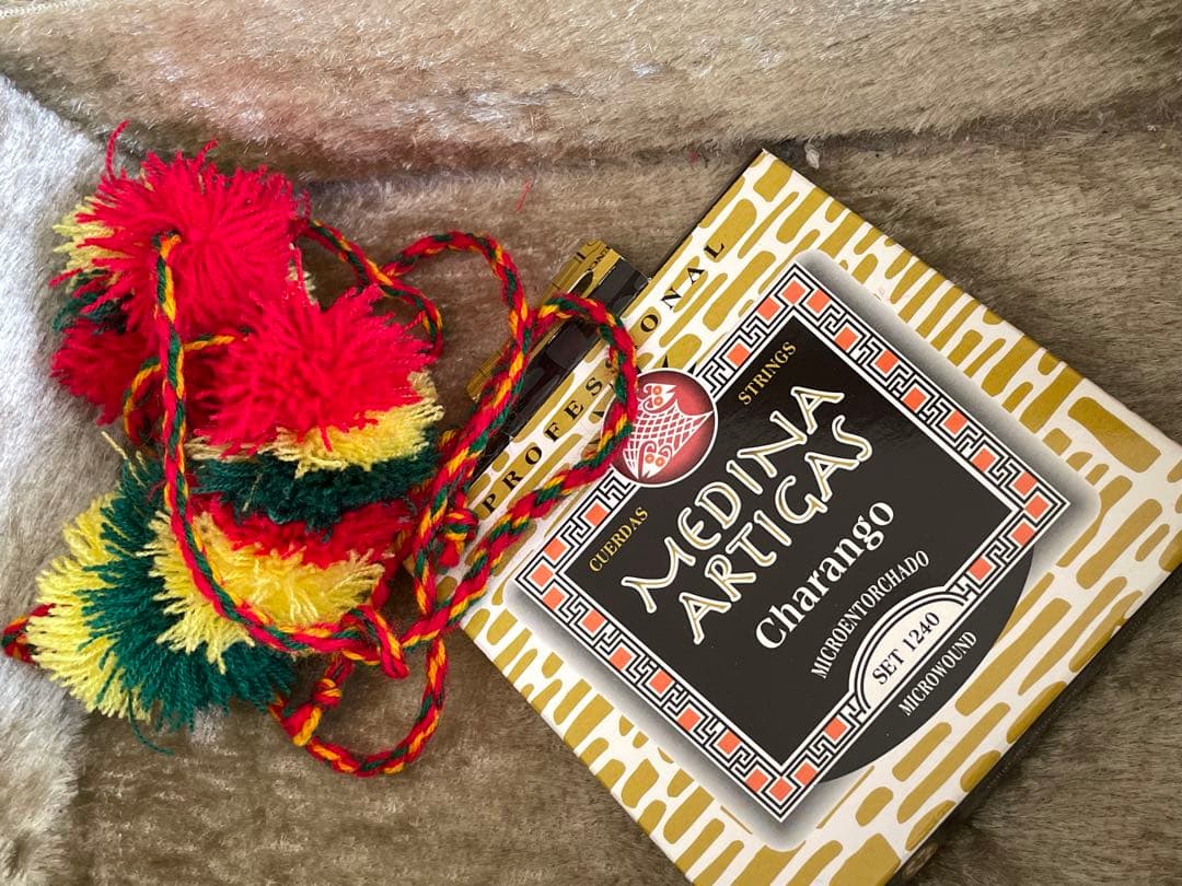 チャランゴ　ボリビア　Gamboa GCH530