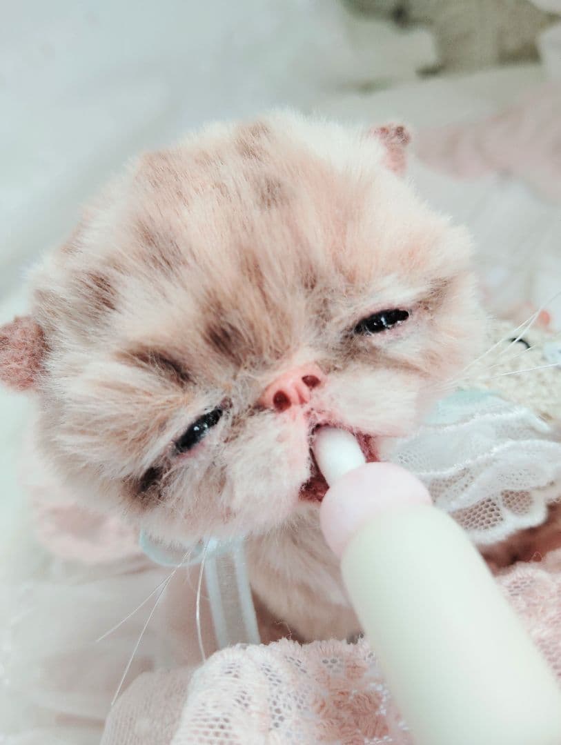 生後２０日♡トラ柄子猫ちゃん♡お昼寝セット♡アートドール♡ぬいぐるみ♡