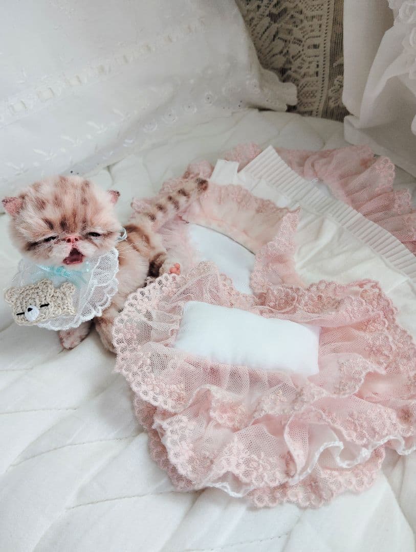 生後２０日♡トラ柄子猫ちゃん♡お昼寝セット♡アートドール♡ぬいぐるみ♡