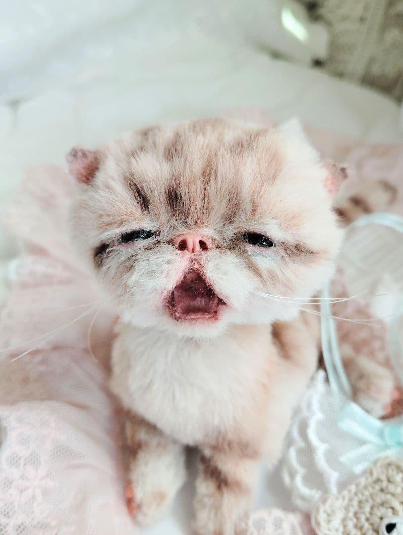 生後２０日♡トラ柄子猫ちゃん♡お昼寝セット♡アートドール♡ぬいぐるみ♡