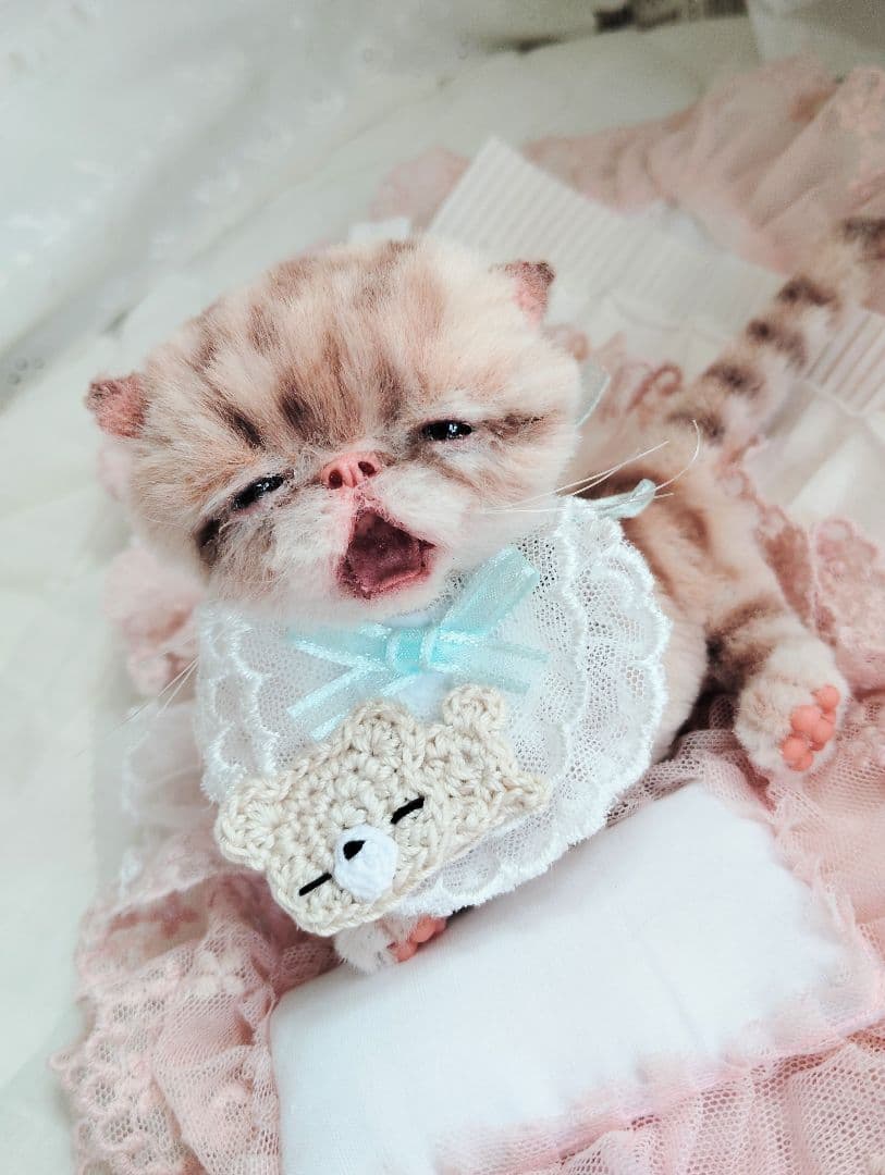 生後２０日♡トラ柄子猫ちゃん♡お昼寝セット♡アートドール♡ぬいぐるみ♡