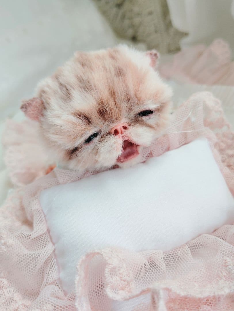 生後２０日♡トラ柄子猫ちゃん♡お昼寝セット♡アートドール♡ぬいぐるみ♡