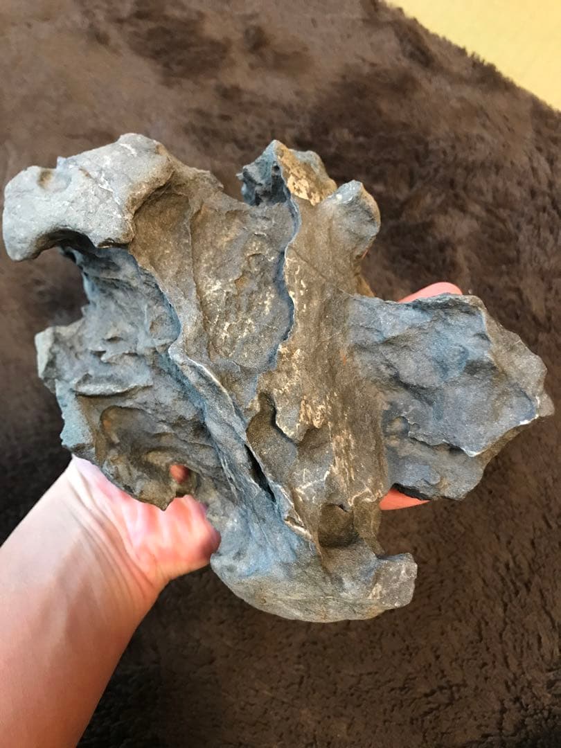 水石　鑑賞石　豊似石　自然石　翡翠　水盤　ジャスパー　鉱物　瀬田川石　加茂川石