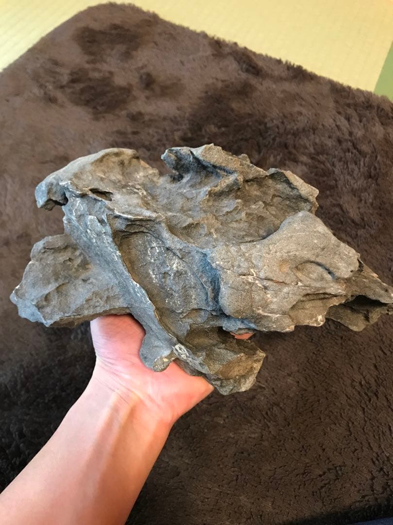 水石　鑑賞石　豊似石　自然石　翡翠　水盤　ジャスパー　鉱物　瀬田川石　加茂川石