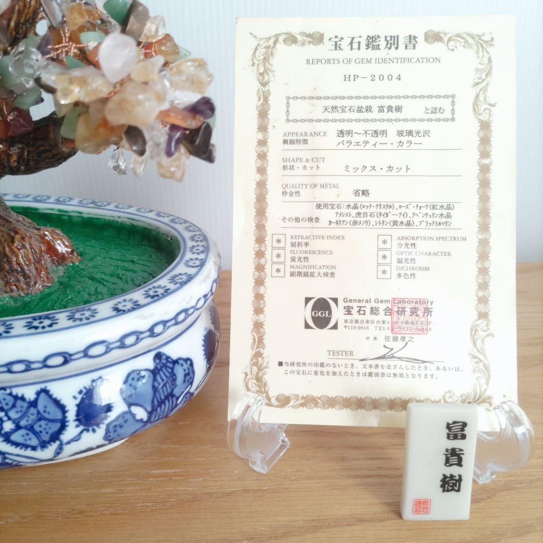 富貴樹 天然石 パワーストーン 鑑別書付 未使用／縁起 開運 金運 恋愛 セール