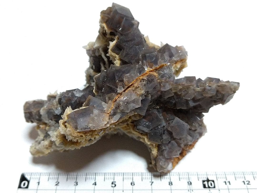 鉱物標本 フローライト 蛍石 カルサイト 方解石 共生標本 蛍光 大型サイズ