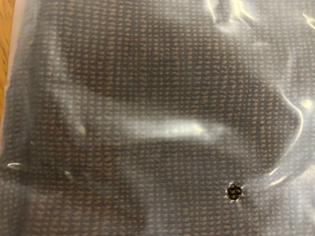 飛騨家具 ダイニングテーブル　椅子４脚セット　ステルス　布団レス　ヒータ　展示品