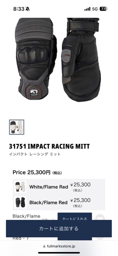 HESTRA製スノーボード(スキー)レースグローブ‼️