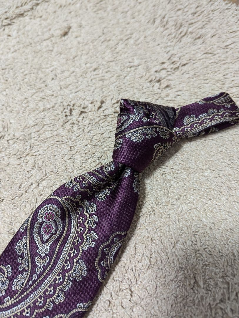 極美品　Stefano Cau　ネクタイ　スフォデラート　ペイズリー　イタリア製