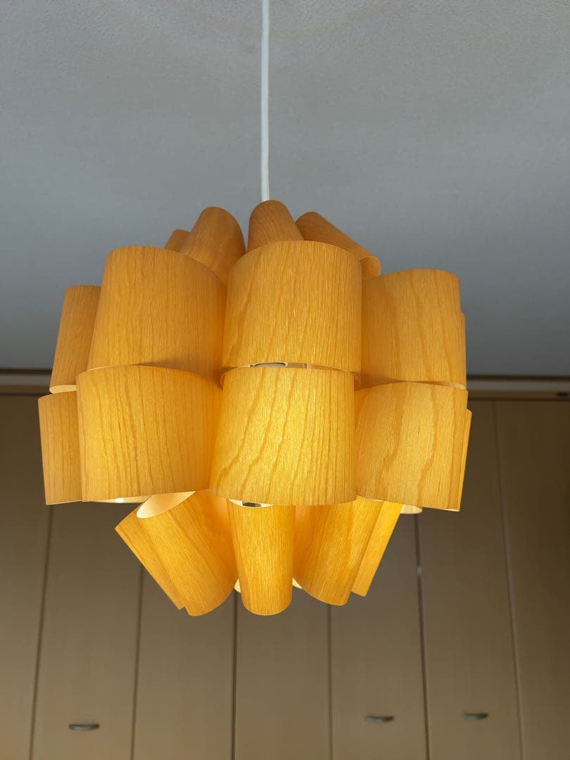 谷俊幸　シーリングライト