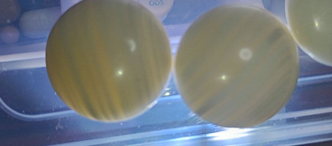 値下げ ! 囲碁石セット （蛤& 那智黒）島碁笥？入り