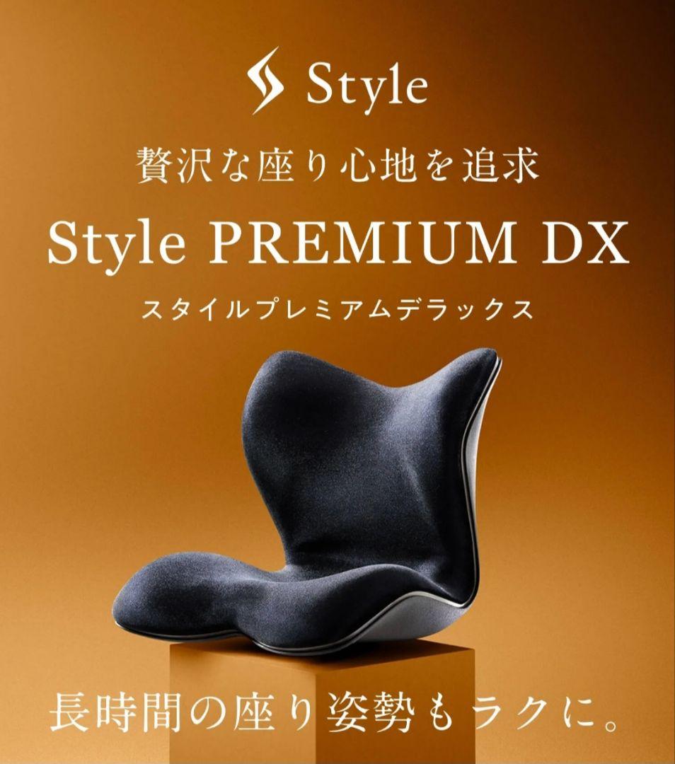 Style プレミアムDX　骨盤矯正