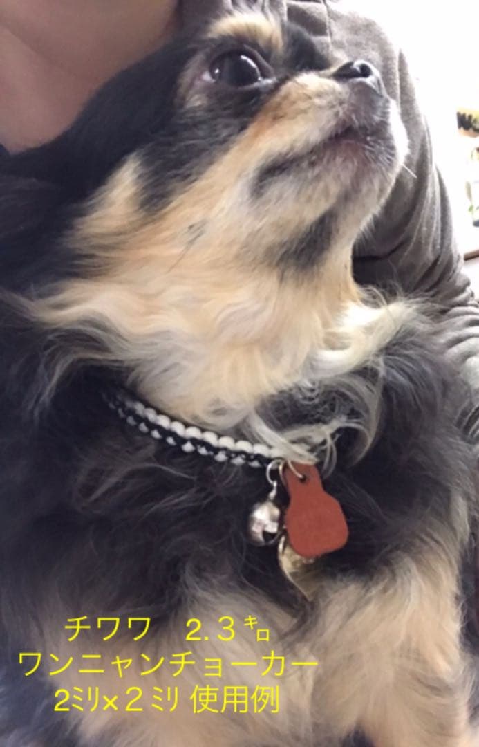 ワンニャンチョーカー☆首回り約31～33cm