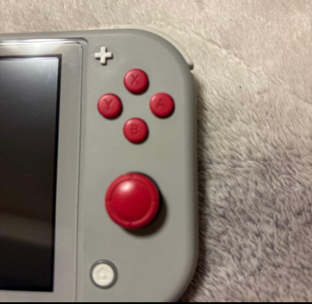 Nintendo Switch Lite ポケモンデザイン 充電器付き