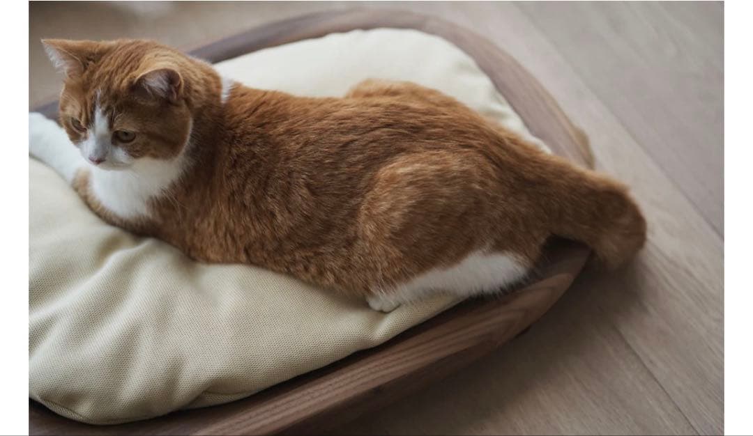 【新品未使用】KARIMOKU CAT BED ウォールナット　保証書付き