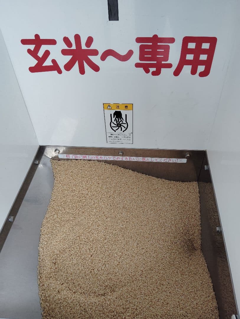 信州産コシヒカリ10㎏(精米済・令和6年収獲) タケノコご飯用筍3本付き