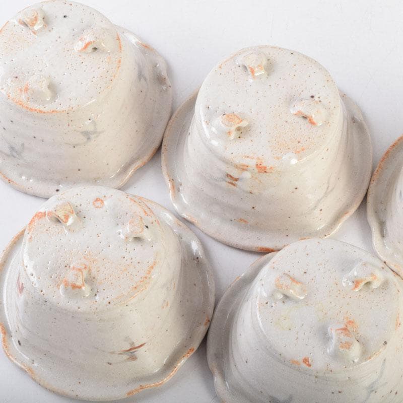 和食器　茶懐石　志野焼　加藤十右衛門　向付　五客　共箱　C　9015