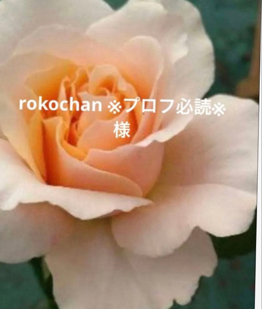 バラ苗　購入前にコメント