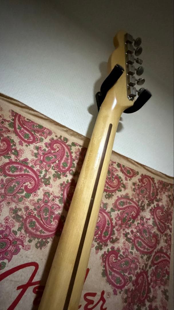 ペイズリー模様のピンクTelecaster