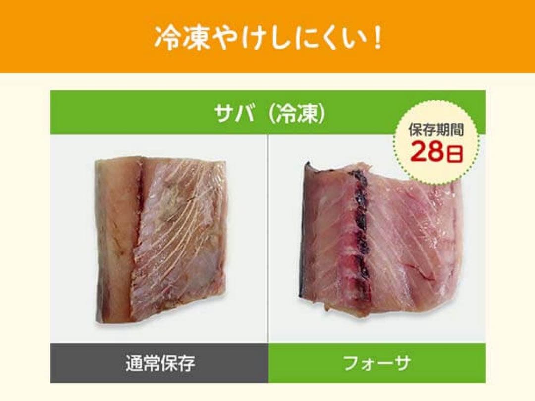 フォーサ　真空バッグ　スターターセット　真空バッグ全140枚