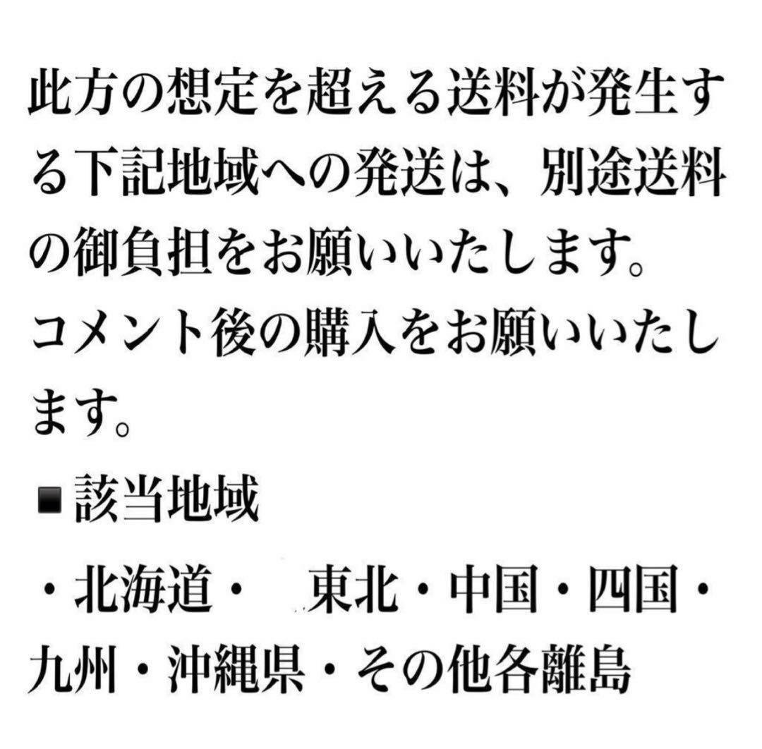 特選品‼︎ 外管理の為葉も厚いコウモリラン・ウインキーリキー陶器鉢入り