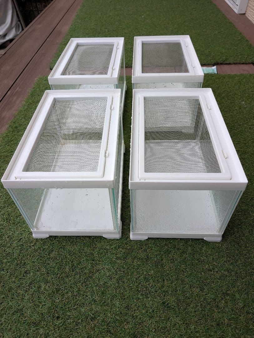 レプテリア300LOW廃盤商品４つ