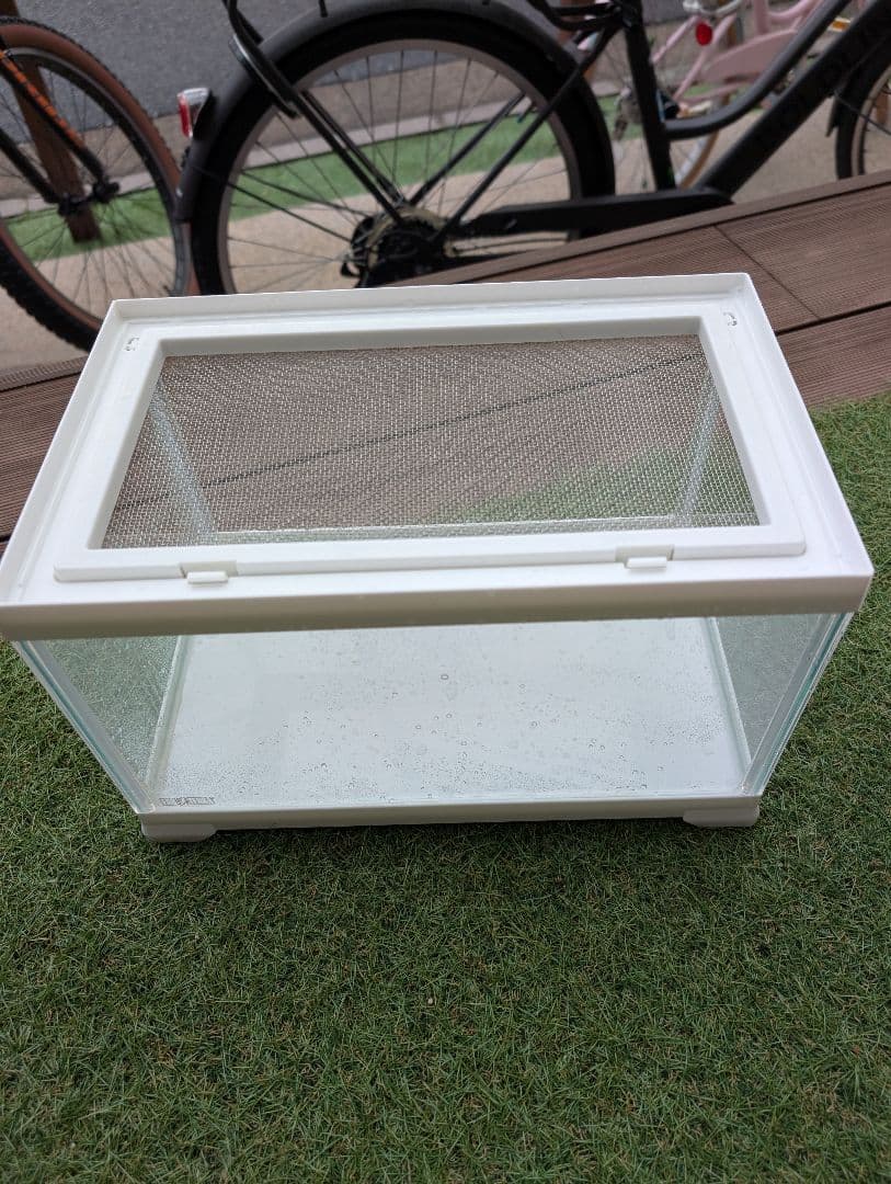 レプテリア300LOW廃盤商品４つ