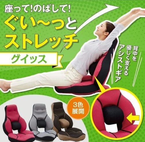 腰痛に 腰楽ストレッチ 座椅子 グイッス グレー セシール
